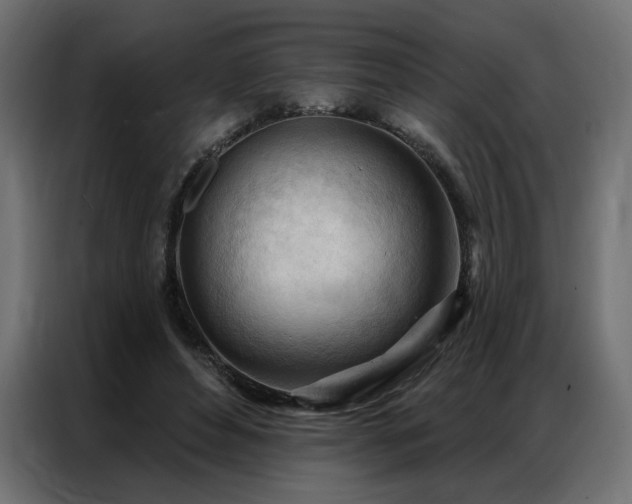 X0000086900496200704161320