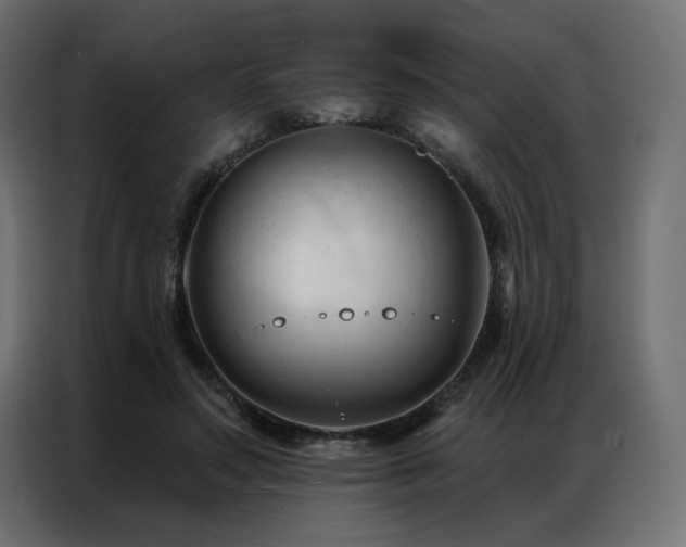 X0000086900499200704161320