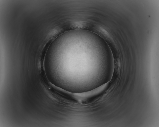 X0000086900500200704161320