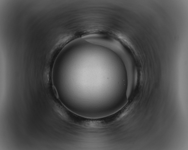 X0000086900501200704161320