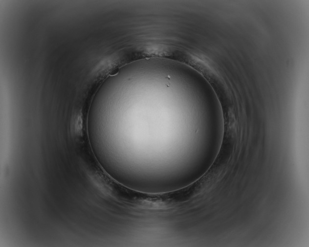 X0000086900502200704161320