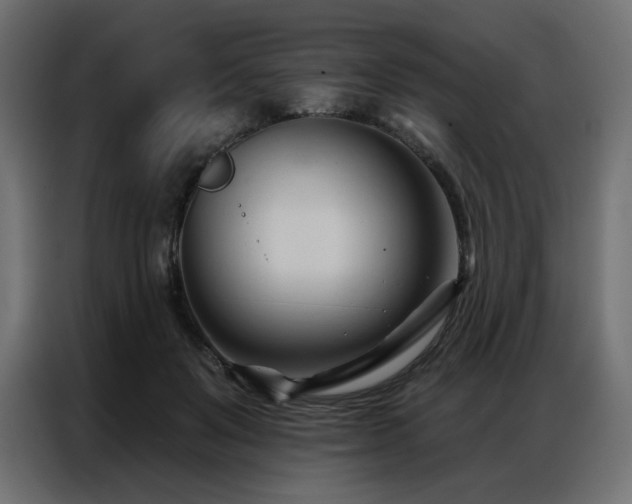 X0000086900503200704161320