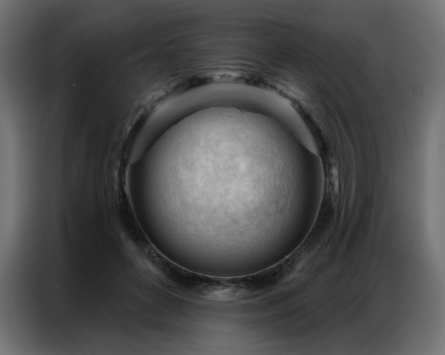 X0000086900504200704161320