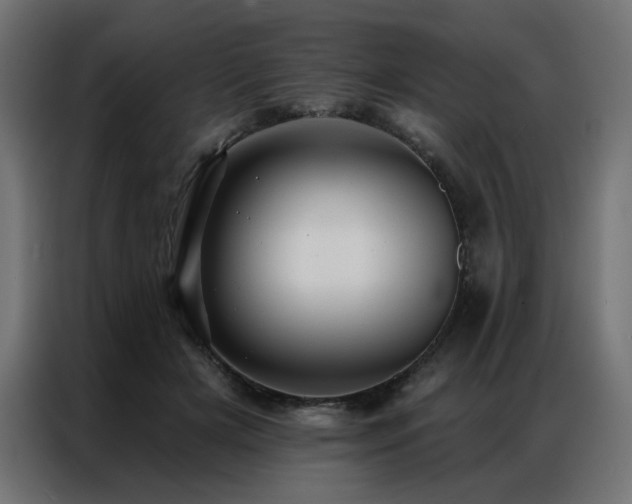 X0000086900505200704161320