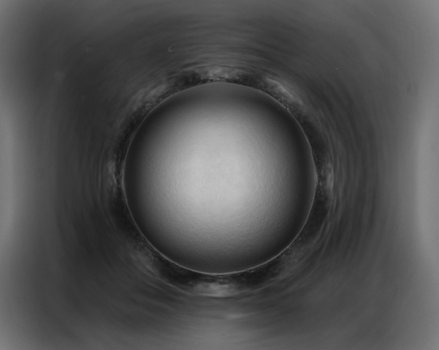 X0000086900506200704161320