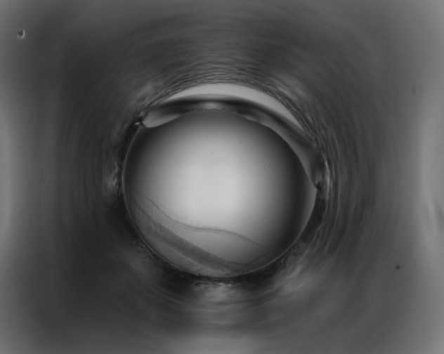 X0000086900507200704161320