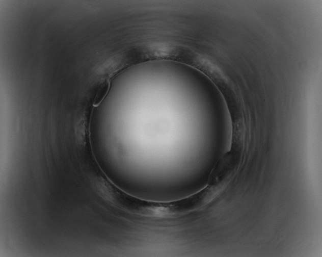 X0000086900509200704161320