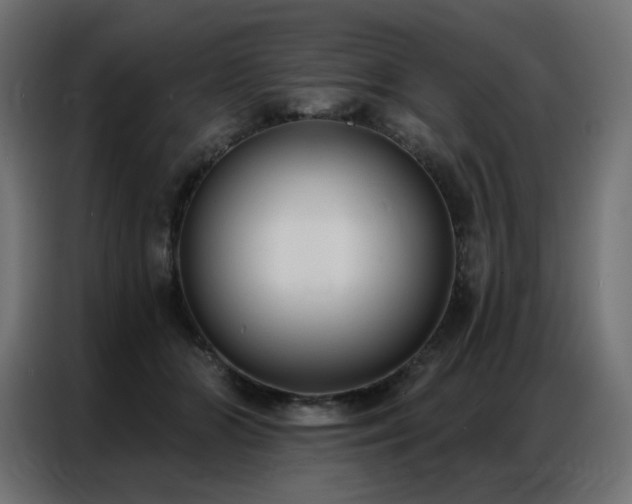 X0000086900510200704161320