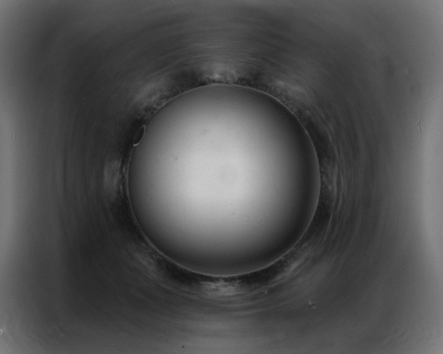 X0000086900511200704161320