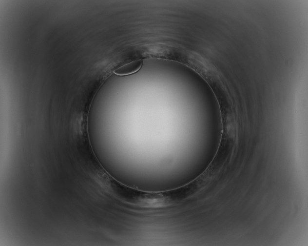 X0000086900514200704161320