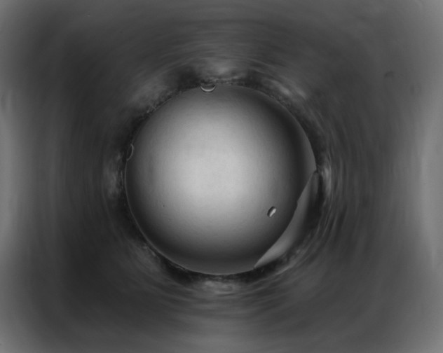 X0000086900515200704161320