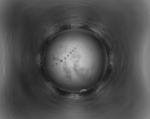 X0000086900519200704161320