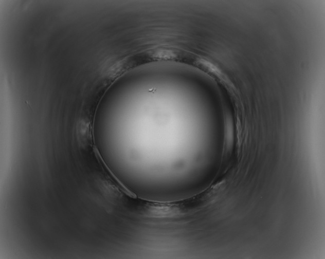 X0000086900521200704161320