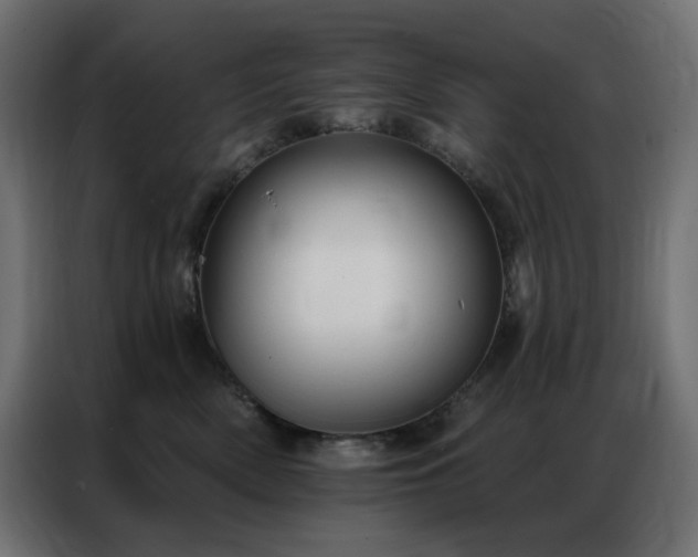 X0000086900522200704161320