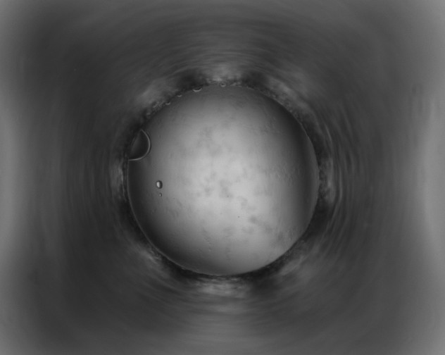 X0000086900523200704161320