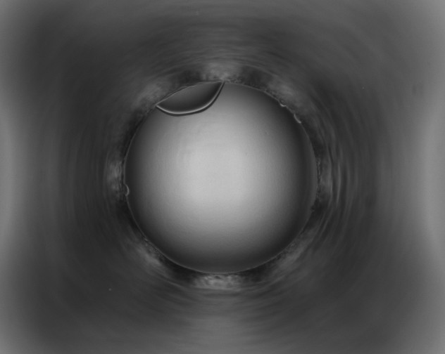 X0000086900526200704161320