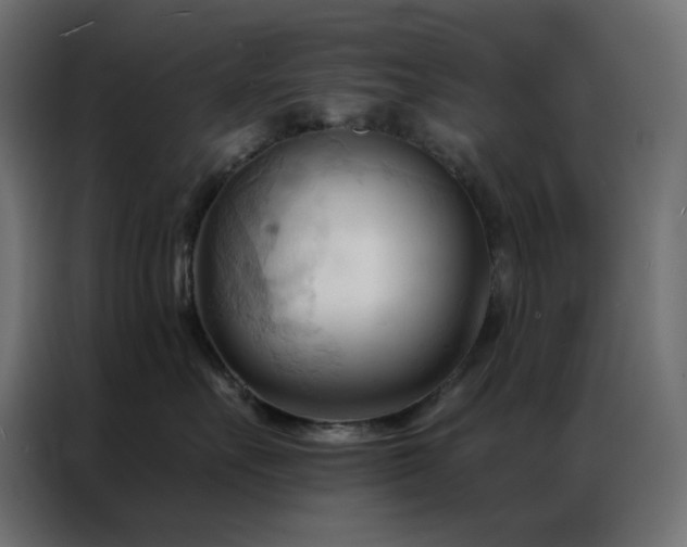 X0000086900527200704161320