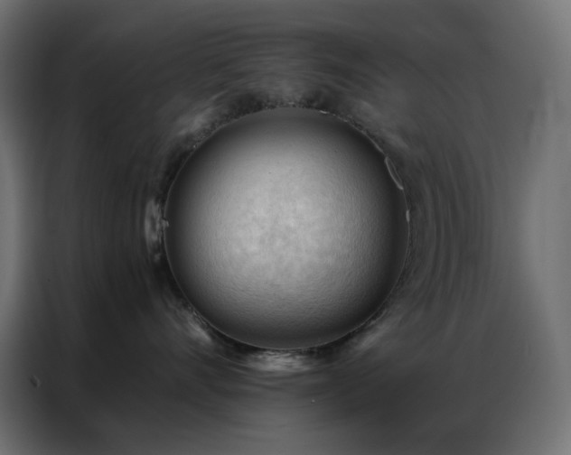 X0000086900528200704161320