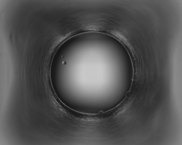 X0000086900529200704161319
