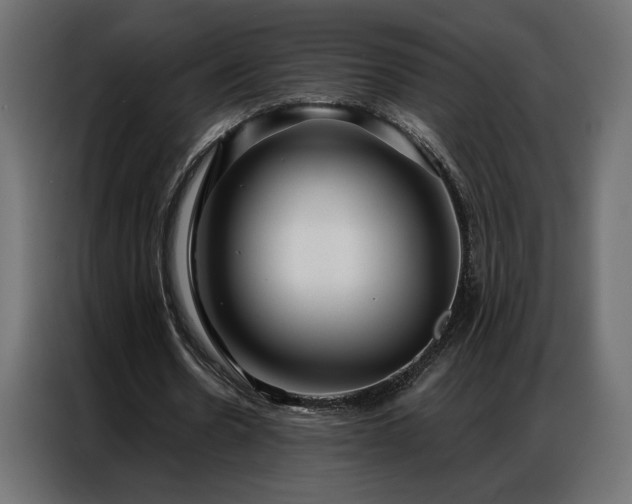 X0000086900530200704161319