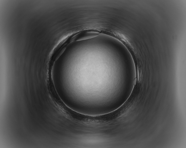 X0000086900531200704161319