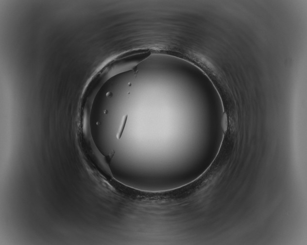 X0000086900532200704161319