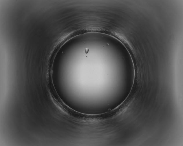 X0000086900533200704161319