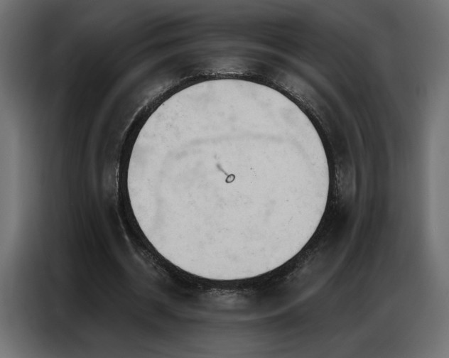 X0000086900534200704161319
