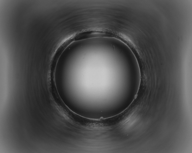 X0000086900535200704161319