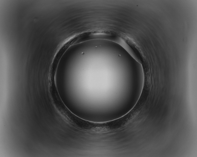 X0000086900536200704161319