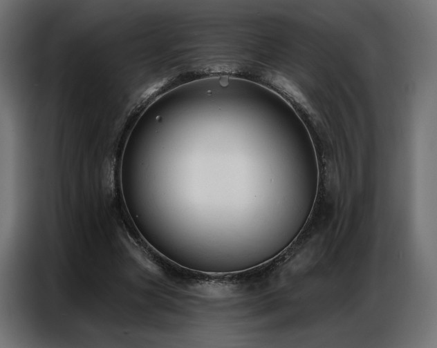 X0000086900537200704161319