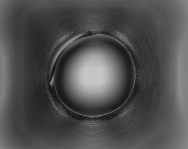 X0000086900538200704161319