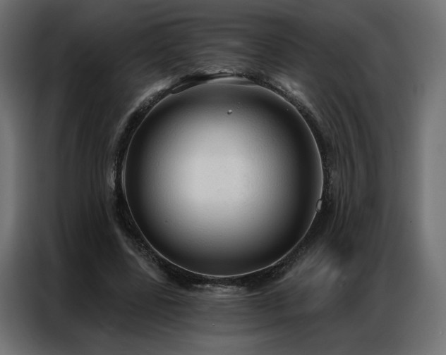 X0000086900539200704161319