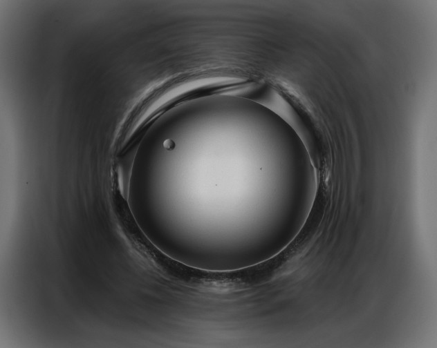 X0000086900540200704161319