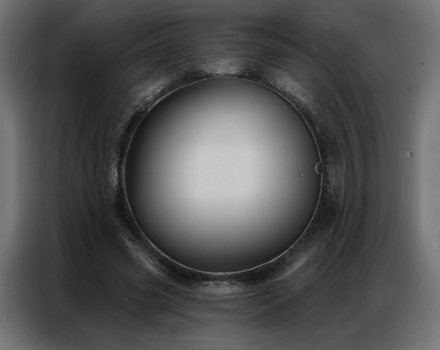 X0000086900541200704161319