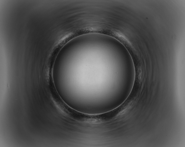 X0000086900542200704161319