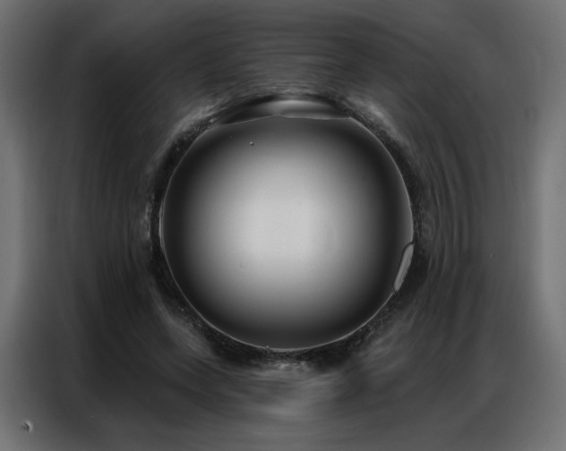 X0000086900543200704161319