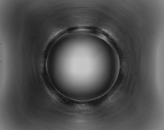X0000086900544200704161319
