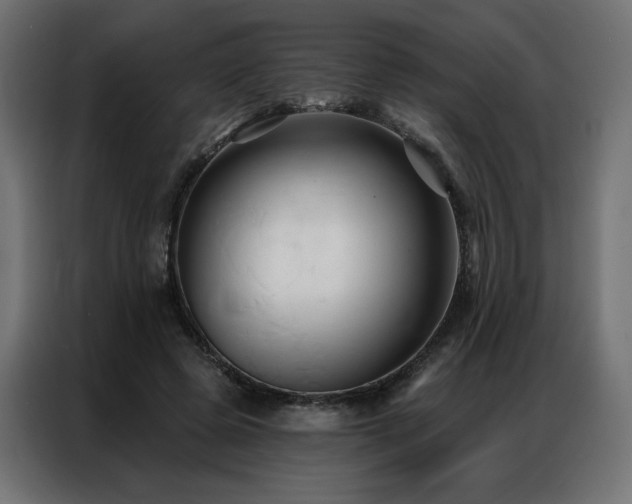 X0000086900545200704161319