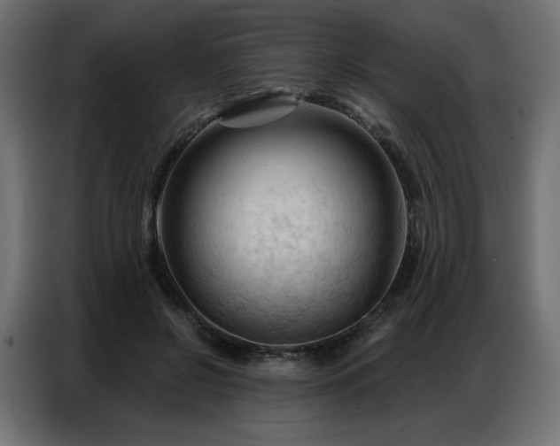 X0000086900550200704161319