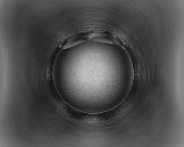 X0000086900551200704161319