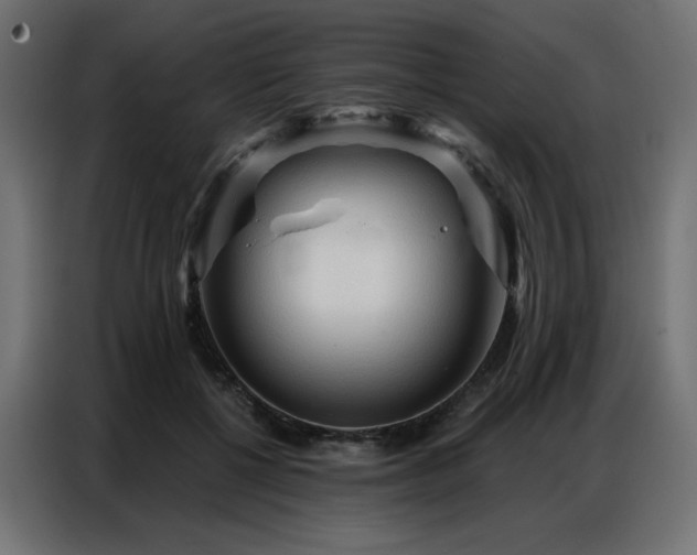 X0000086900552200704161319