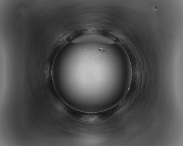 X0000086900554200704161319