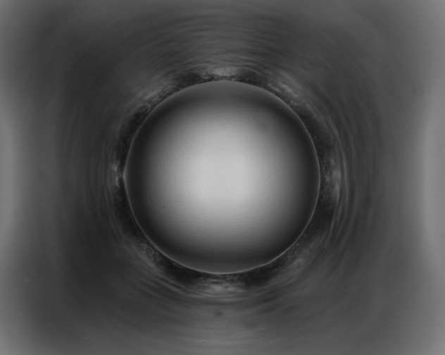 X0000086900555200704161319