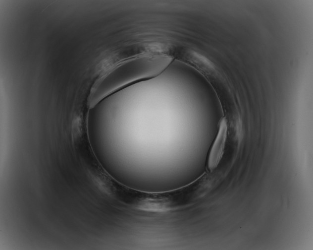 X0000086900556200704161319