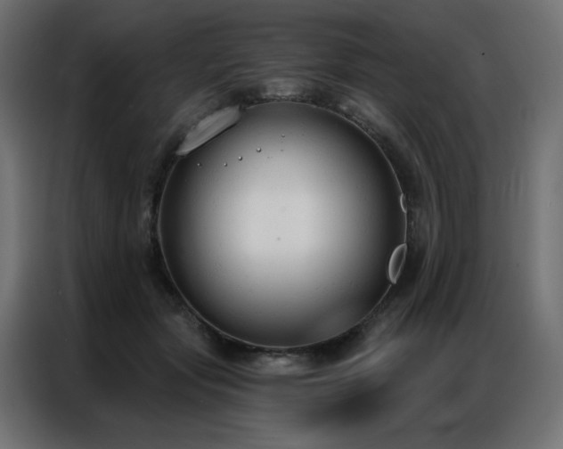X0000086900557200704161319