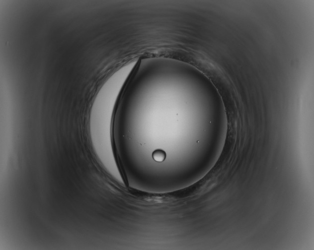 X0000086900558200704161319
