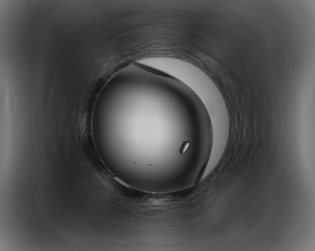 X0000086900560200704161319