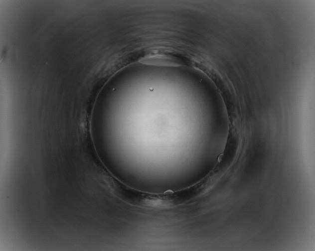 X0000086900561200704161319