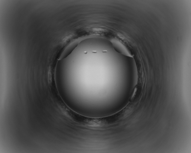 X0000086900562200704161319